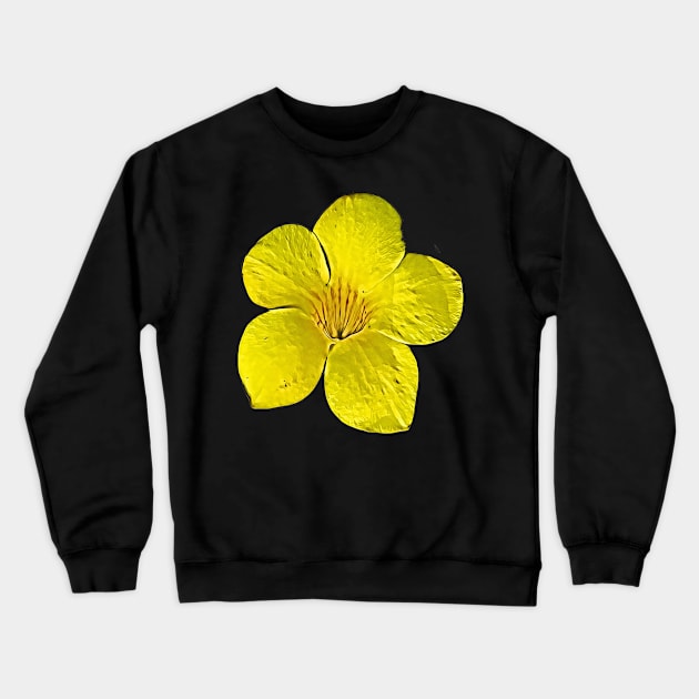 Official Flower Bahamas Yellow Elderflower Tecoma Stans Pattern Crewneck Sweatshirt by BubbleMench